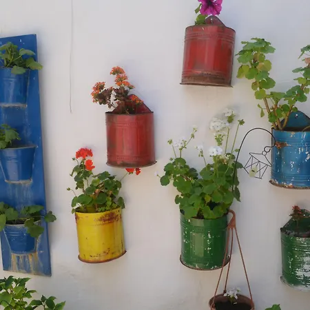 Casa de hóspedes Bonjour 2*